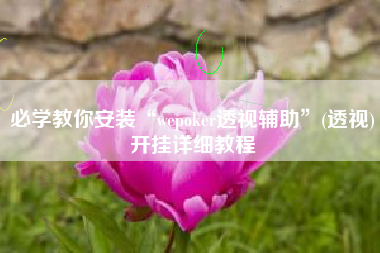 必学教你安装“wepoker透视辅助	”(透视)开挂详细教程