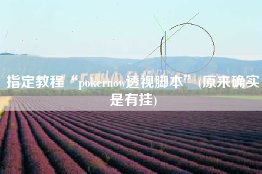 指定教程“pokernow透视脚本”(原来确实是有挂)