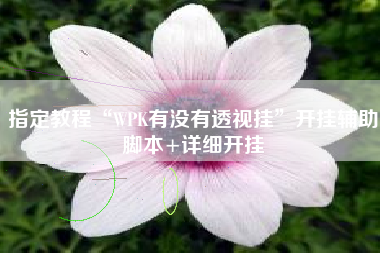 指定教程“WPK有没有透视挂”开挂辅助脚本+详细开挂
