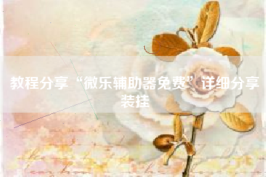 教程分享“微乐辅助器免费”详细分享装挂