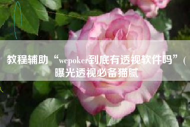 教程辅助“wepoker到底有透视软件吗”(曝光透视必备猫腻