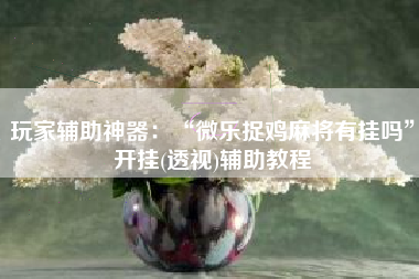 玩家辅助神器：“微乐捉鸡麻将有挂吗	”开挂(透视)辅助教程