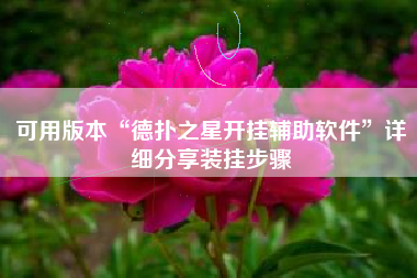 可用版本“德扑之星开挂辅助软件”详细分享装挂步骤