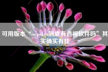 可用版本“wepoker到底有透视软件吗	”其实确实有挂