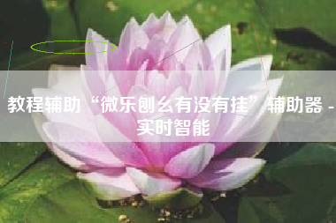 教程辅助“微乐刨幺有没有挂”辅助器 - 实时智能