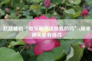 教程辅助“微乐麻将挂是真的吗	”(原来确实是有插件