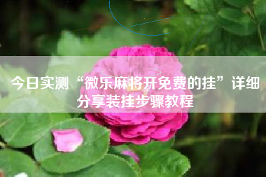 今日实测“微乐麻将开免费的挂”详细分享装挂步骤教程