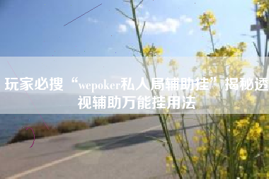 玩家必搜“wepoker私人局辅助挂	”揭秘透视辅助万能挂用法