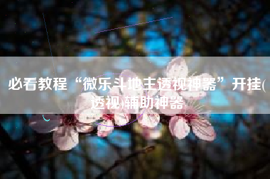 必看教程“微乐斗地主透视神器	”开挂(透视)辅助神器