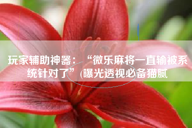 玩家辅助神器：“微乐麻将一直输被系统针对了”(曝光透视必备猫腻