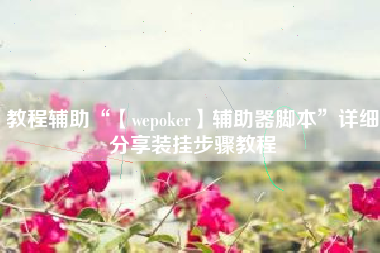 教程辅助“【wepoker】辅助器脚本	”详细分享装挂步骤教程