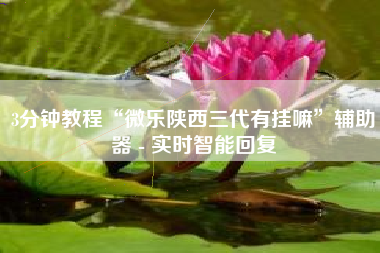 3分钟教程“微乐陕西三代有挂嘛”辅助器 - 实时智能回复