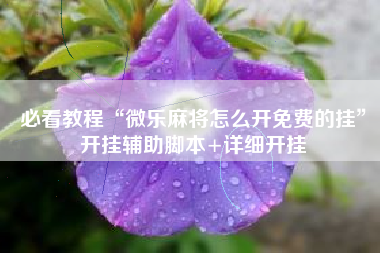 必看教程“微乐麻将怎么开免费的挂”开挂辅助脚本+详细开挂