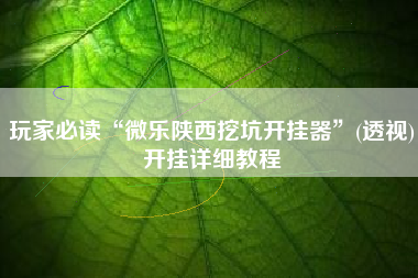 玩家必读“微乐陕西挖坑开挂器”(透视)开挂详细教程