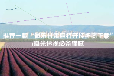 推荐一款“微乐甘肃麻将开挂神器下载”(曝光透视必备猫腻