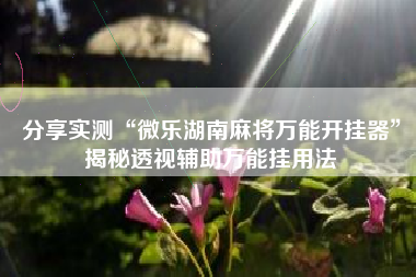 分享实测“微乐湖南麻将万能开挂器”揭秘透视辅助万能挂用法