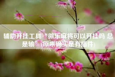 辅助开挂工具“微乐麻将可以开挂吗 总是输”(原来确实是有插件)