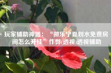 玩家辅助神器：“微乐宁夏划水免费房间怎么开挂	”作弊(透视)透视辅助