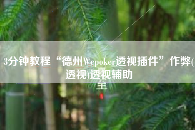 3分钟教程“德州Wepoker透视插件”作弊(透视)透视辅助