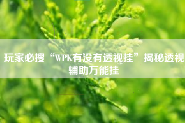 玩家必搜“WPK有没有透视挂”揭秘透视辅助万能挂