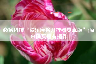 必备科技“微乐麻将开挂器安卓版	”(原来确实是有插件