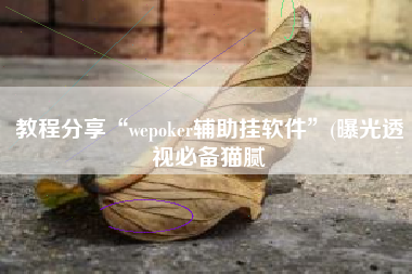 教程分享“wepoker辅助挂软件”(曝光透视必备猫腻