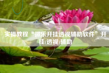 实操教程“微乐开挂透视辅助软件”开挂(透视)辅助