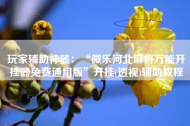 玩家辅助神器：“微乐河北麻将万能开挂器免费通用版”开挂(透视)辅助教程