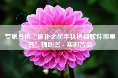 专家分析“德扑之星手机透视软件哪里有”辅助器 - 实时智能
