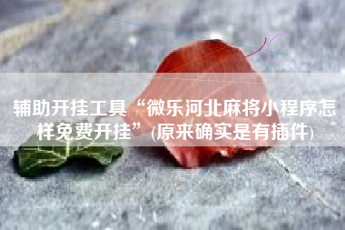 辅助开挂工具“微乐河北麻将小程序怎样免费开挂”(原来确实是有插件)