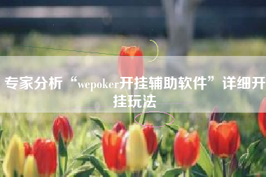 专家分析“wepoker开挂辅助软件”详细开挂玩法