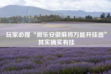 玩家必搜“微乐安徽麻将万能开挂器	”其实确实有挂