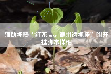 辅助神器“红龙poker德州透视挂”附开挂脚本详细