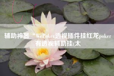 辅助神器“WePoker透视插件挂红龙poker有透视辅助挂(太 辅助神器“WePoker透视插件挂红龙poker有透视辅助挂(太