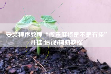 安装程序教程“微乐麻将是不是有挂”开挂(透视)辅助教程