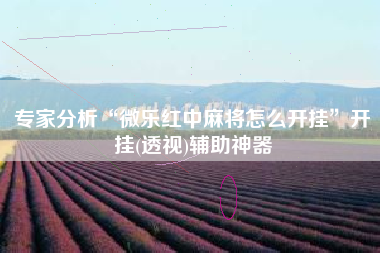 专家分析“微乐红中麻将怎么开挂	”开挂(透视)辅助神器