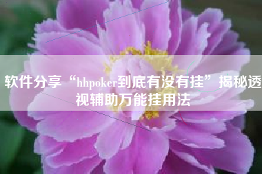 软件分享“hhpoker到底有没有挂	”揭秘透视辅助万能挂用法