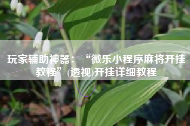 玩家辅助神器：“微乐小程序麻将开挂教程	”(透视)开挂详细教程