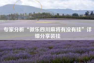 专家分析“微乐四川麻将有没有挂”详细分享装挂