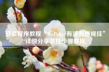 安装程序教程“WePoKer有没有透视挂	”详细分享装挂步骤教程
