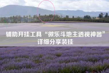 辅助开挂工具“微乐斗地主透视神器	”详细分享装挂