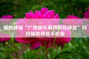 辅助神器“广西微乐麻将开挂神器	”科技辅助神器手机版