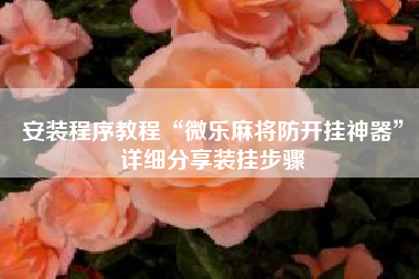 安装程序教程“微乐麻将防开挂神器”详细分享装挂步骤