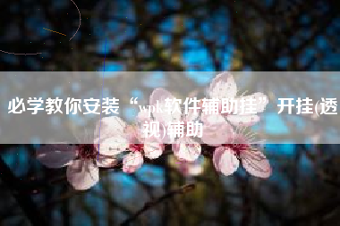 必学教你安装“wpk软件辅助挂	”开挂(透视)辅助