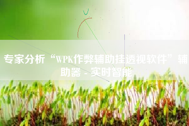专家分析“WPK作弊辅助挂透视软件”辅助器 - 实时智能