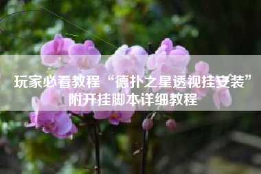 玩家必看教程“德扑之星透视挂安装”附开挂脚本详细教程