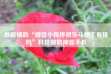 教程辅助“微信小程序微乐斗地主有挂吗	”科技辅助神器手机