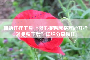 辅助开挂工具“微乐捉鸡麻将万能开挂器免费下载	”详细分享装挂