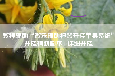 教程辅助“微乐辅助神器开挂苹果系统”开挂辅助脚本+详细开挂