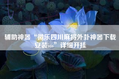 辅助神器“微乐四川麻将外卦神器下载安装ios”详细开挂